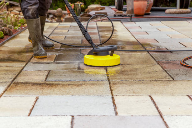 Best Animal Enclosure Cleaning  in Pitman, NJ